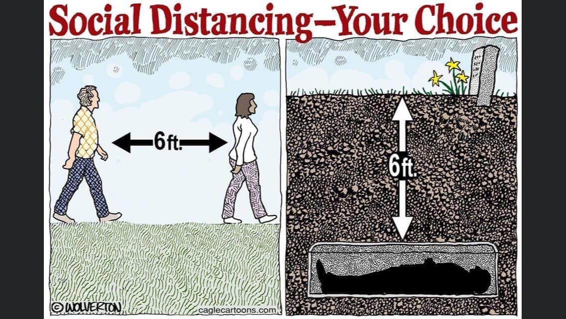 91327393_773555699837492_8091262595144613888_n