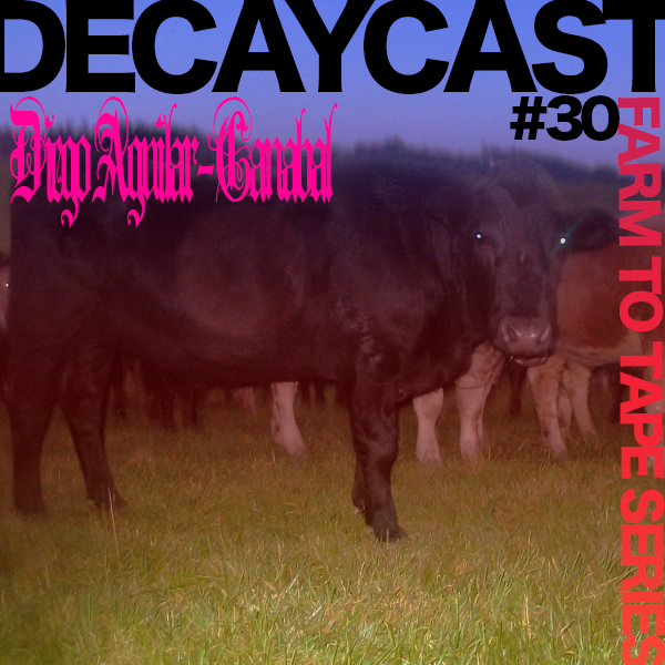 decaycast30 copy